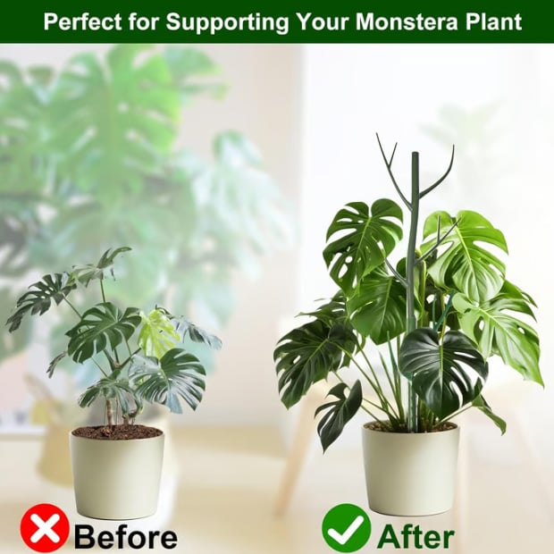 5-pakning med plantepinner