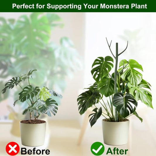 5-pakning med plantepinner