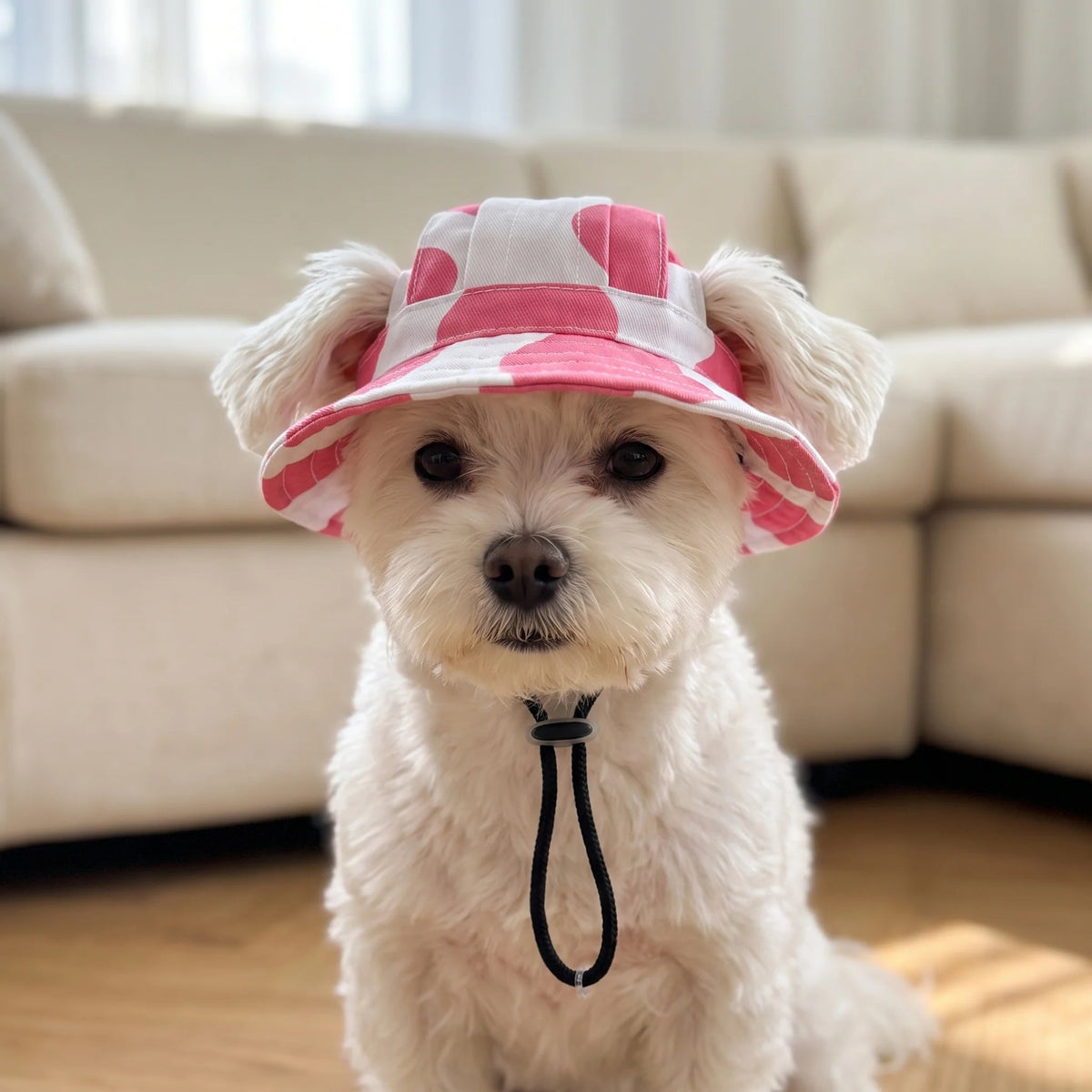 Søt bøttehatt til kjæledyr – Justerbar solhatt for hunder og katter 🐶🐱